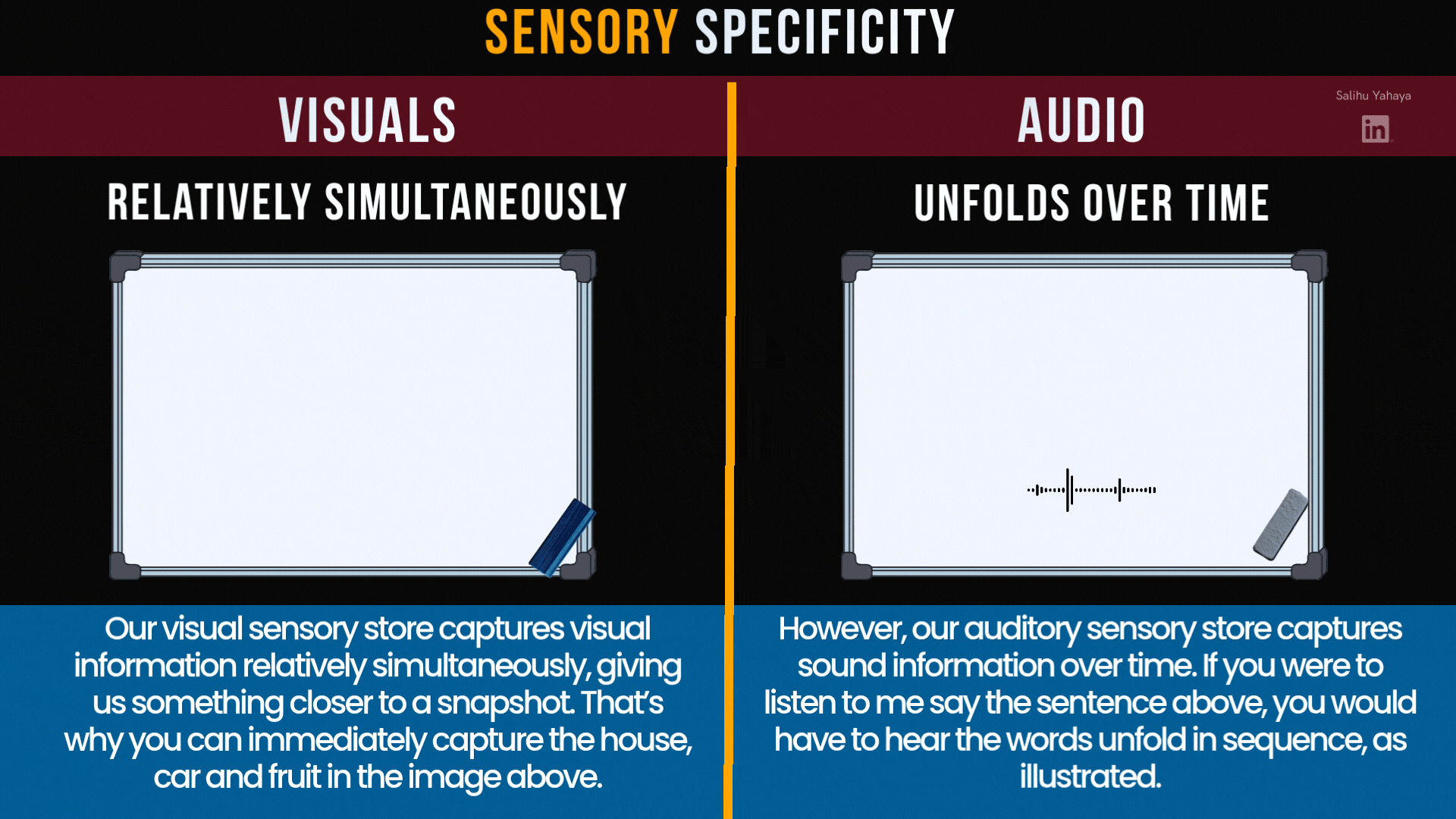 Animated comparison titled "Sensory Specificity," with two whiteboards side by side. Left, "Visuals: relatively simultaneously": a house, a sports car and some fruit appear on the board all at once. Right, "Audio: unfolds over time": a sound wave plays while the words "If you take a look at this sports car" appear one at a time. Both boards are then wiped clean. Caption left: "Our visual sensory store captures visual information relatively simultaneously, giving us something closer to a snapshot. That's why you can immediately capture the house, car and fruit in the image above." Caption right: "However, our auditory sensory store captures sound information over time. If you were to listen to me say the sentence above, you would have to hear the words unfold in sequence, as illustrated."