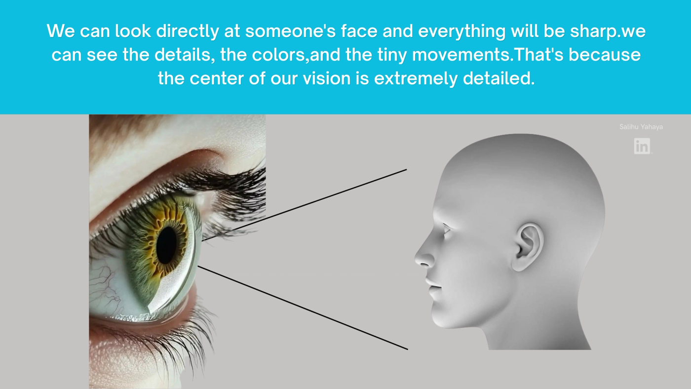 graphical illustration : that shows how "We can look directly at someone's face and everything will be sharp.we can see the details, the colors,and the tiny movements.That's because the center of our vision is extremely detailed."