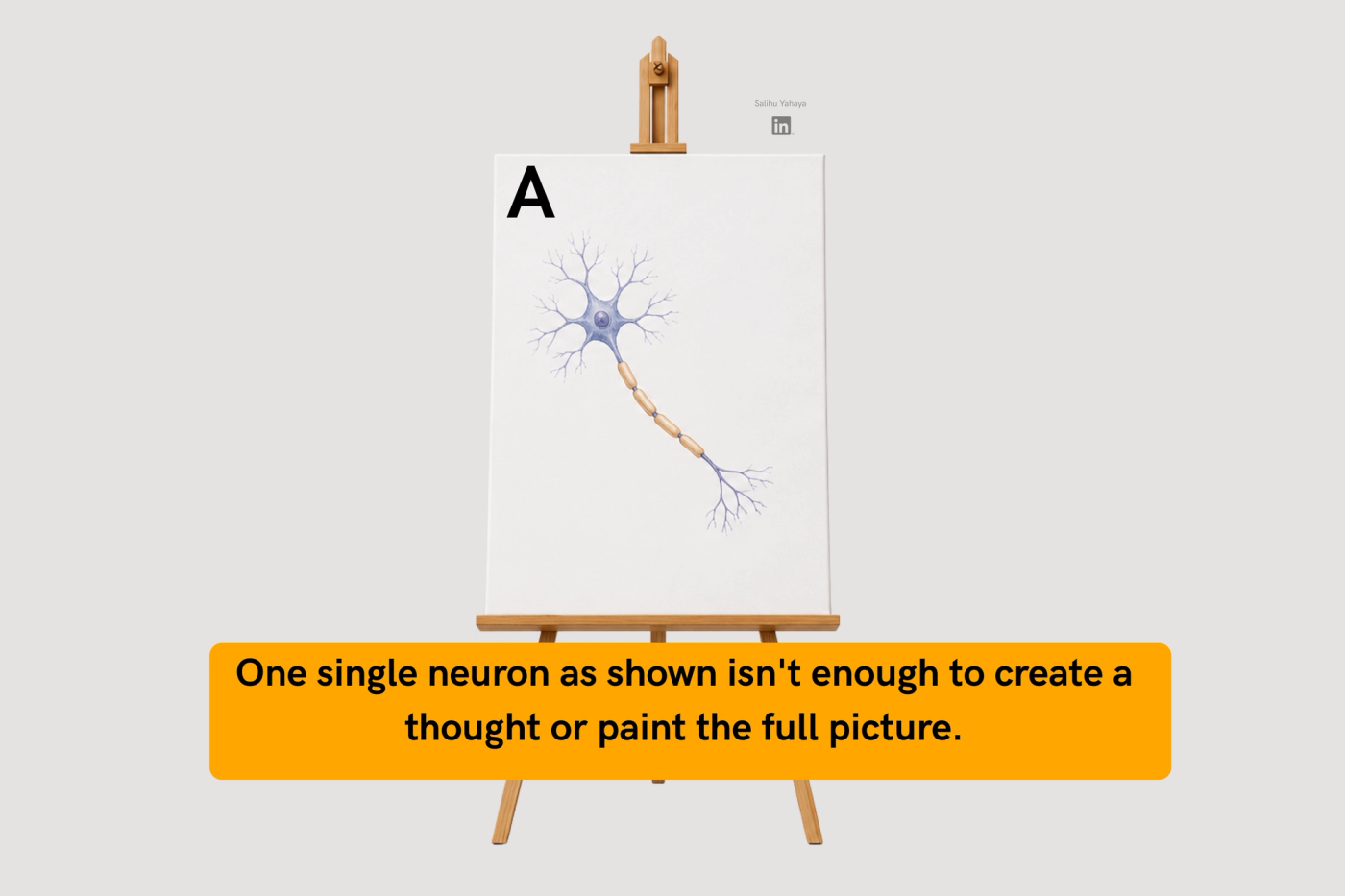 Graphical Illustration 9 : drawing of a single neuron on a canvas A