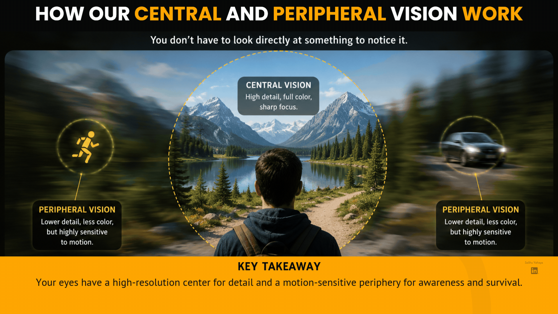 A gif illustrating how our central and periphery vision work