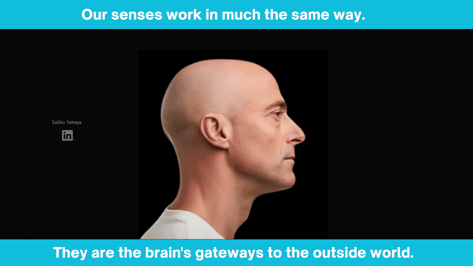Graphic illustration of the head and it's various information gateways