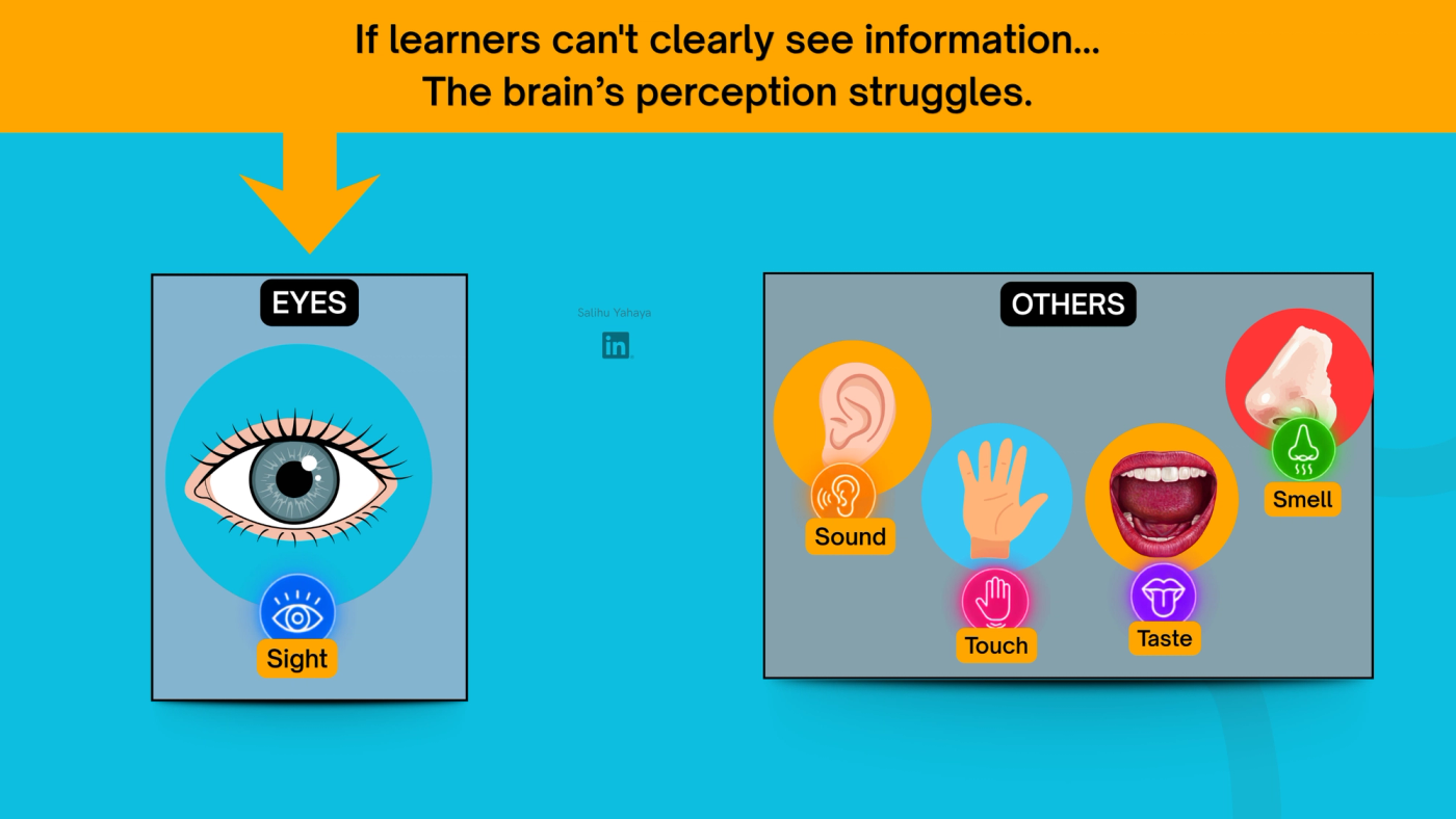 graphic illustration saying "if the learners can't see, perception becomes a stuggle for the brain"