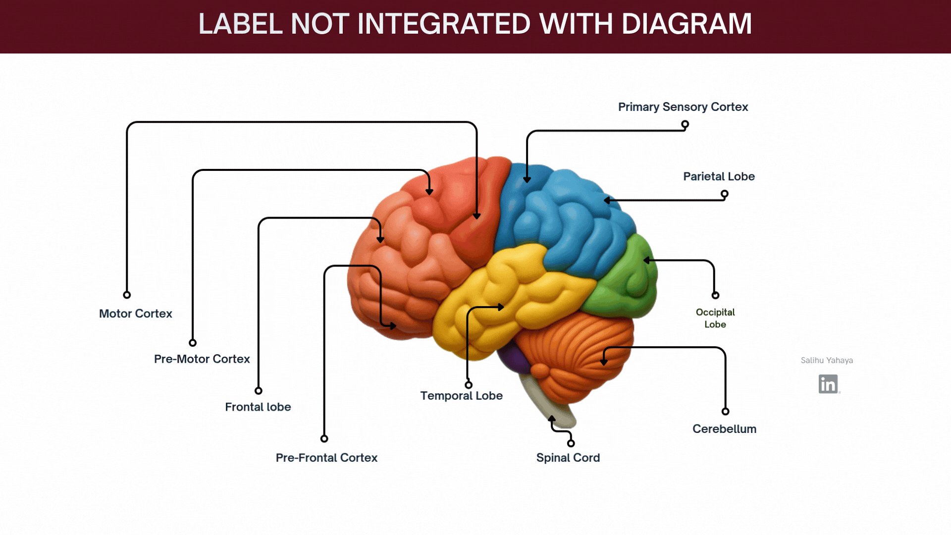 Animated before-and-after of a labelled brain diagram. First, titled "Label not integrated with diagram," the region names sit around the edges with long leader lines pointing into the brain. The scene then cross-fades: the title changes to "Label integrated with diagram," the leader lines disappear, and each label now sits directly on its region.