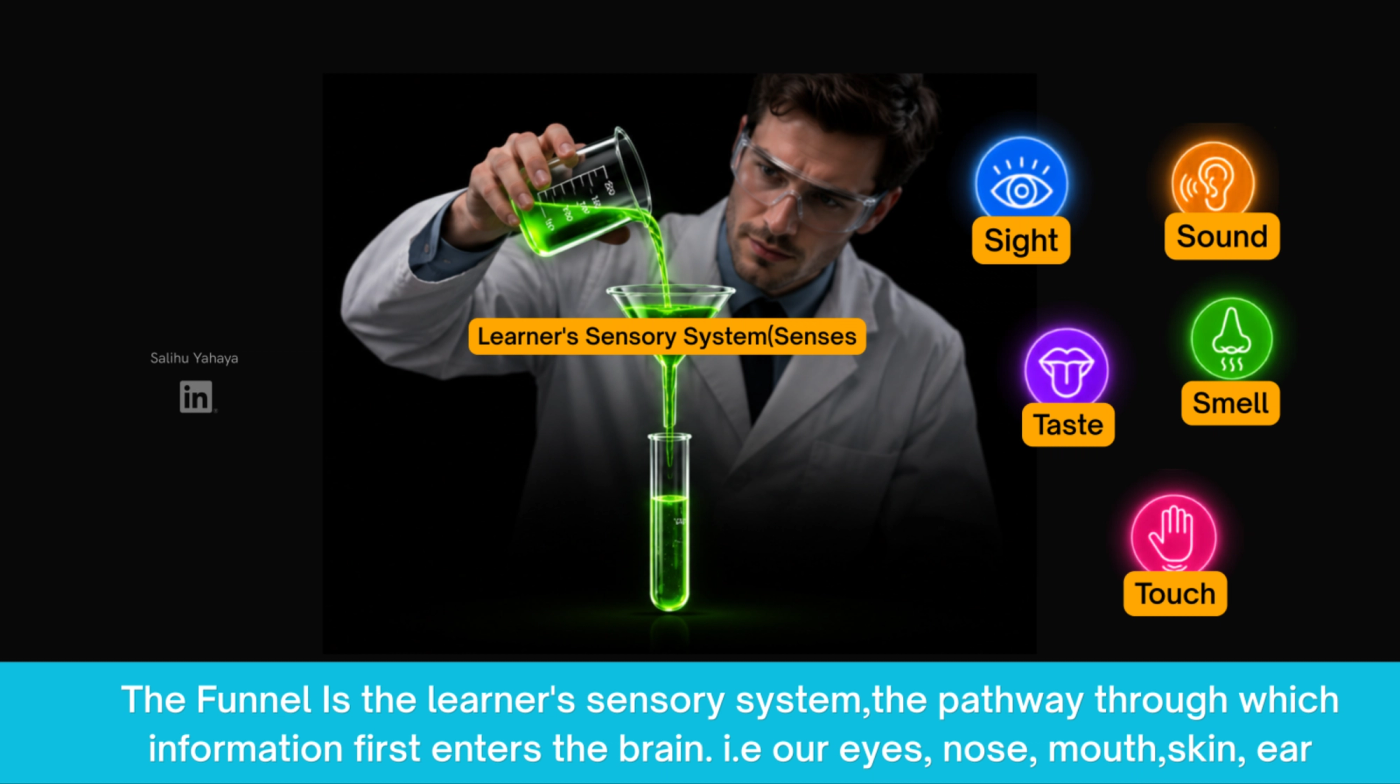 A grahic illustration of scientist with the funnel he's pouring a fluid into labelled "Learners sensory system(senses)"