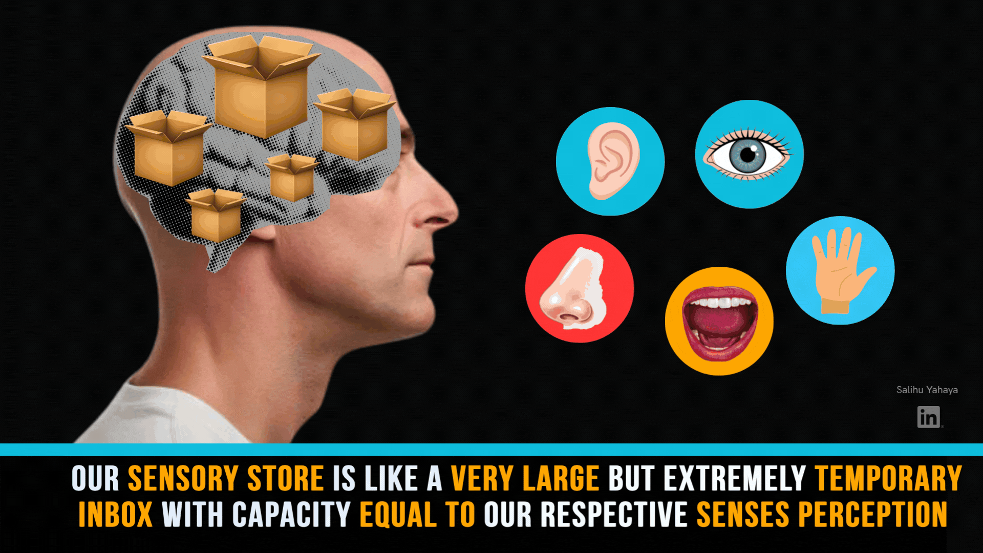Animated illustration of a man in profile with a see-through brain holding several empty cardboard boxes. Icons for the five senses (ear, eye, nose, mouth and hand) float in front of him, drop into the boxes, and then all the boxes vanish, leaving the brain empty. Caption: "Our sensory store is like a very large but extremely temporary inbox, with capacity equal to our respective senses' perception."