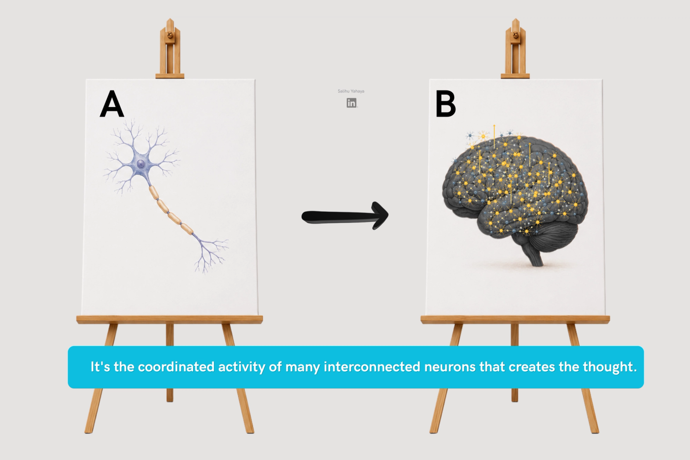 Graphical Illustration 9 : drawing of a single neuron on a canvas A in comparison of connected neurons of a brain on canvas B