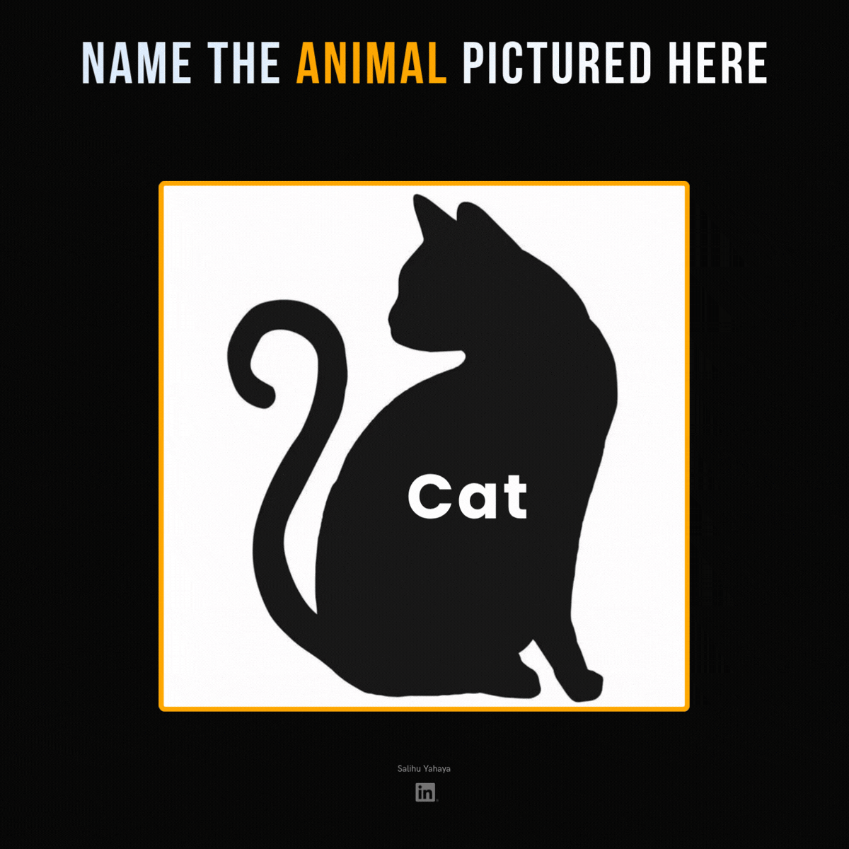 Animated puzzle titled "Name the animal pictured here." A black silhouette of a sitting cat, labelled "Cat," slowly morphs into a silhouette of a bird with spread wings, but the label still reads "Cat."