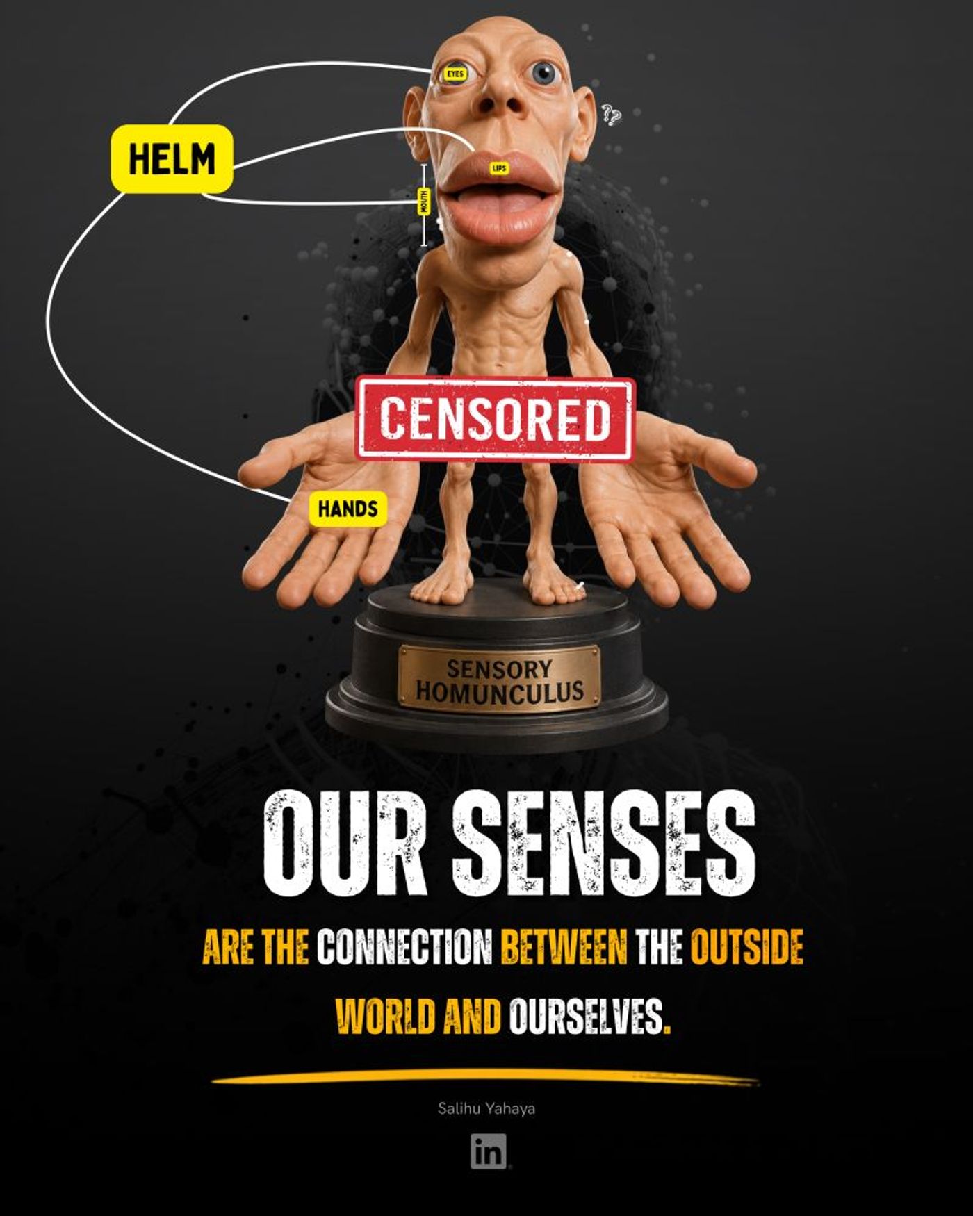 Diagram of Sensory Homunculus