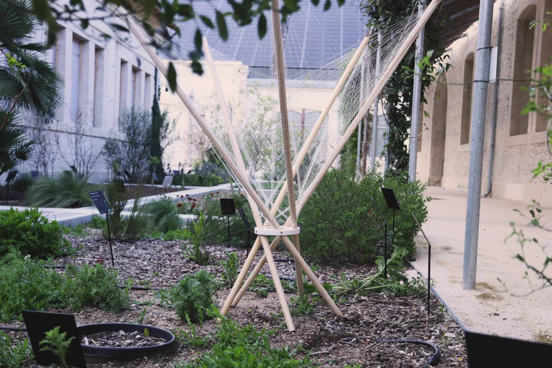 A lightweight wooden structure with radiating poles and fine woven netting stands among plants in a landscaped garden.