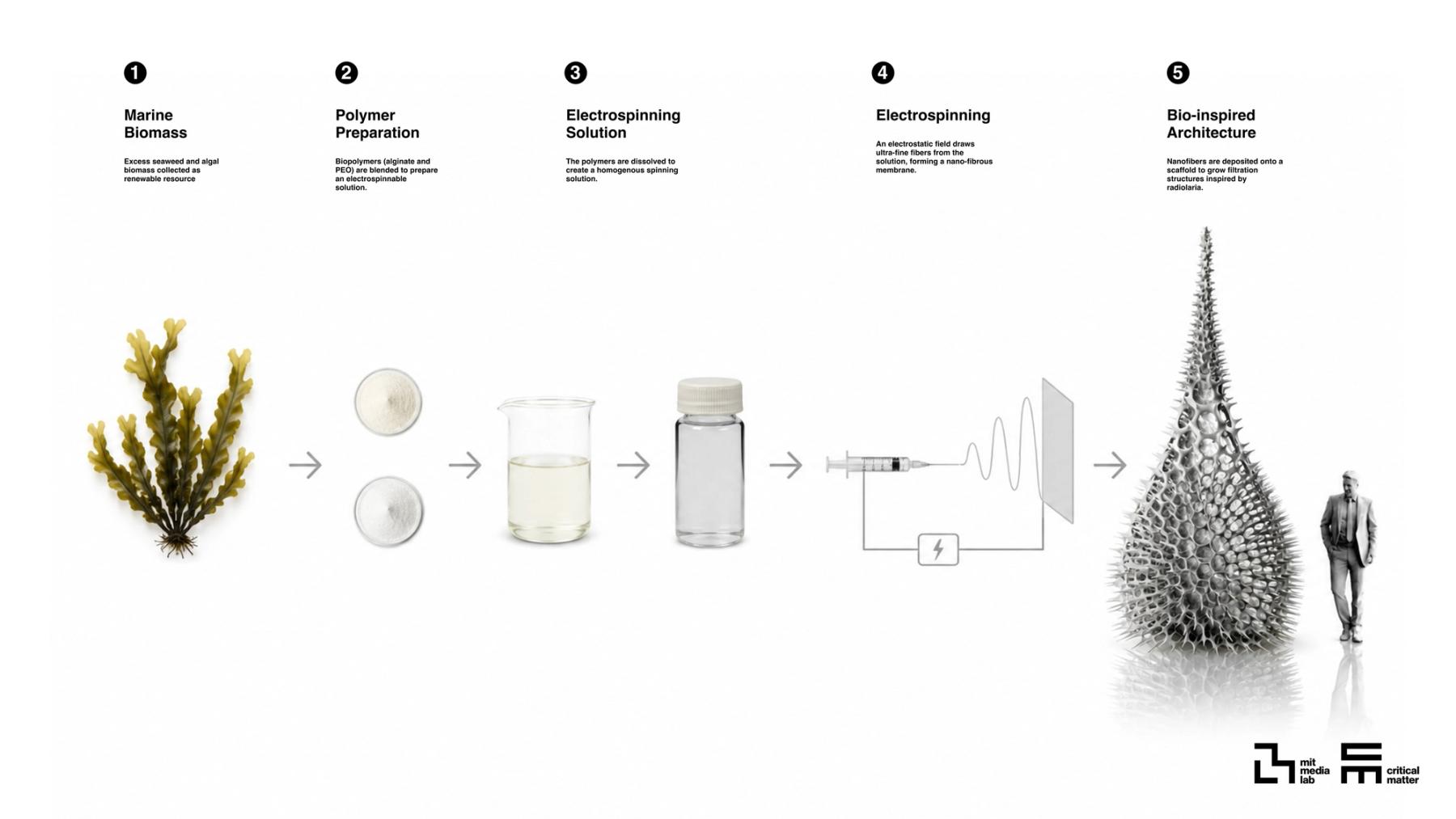 Five-step diagram showing marine biomass transformed into biopolymers, prepared as a solution, electrospun into nanofibers, and used to create a large bio-inspired architectural structure.