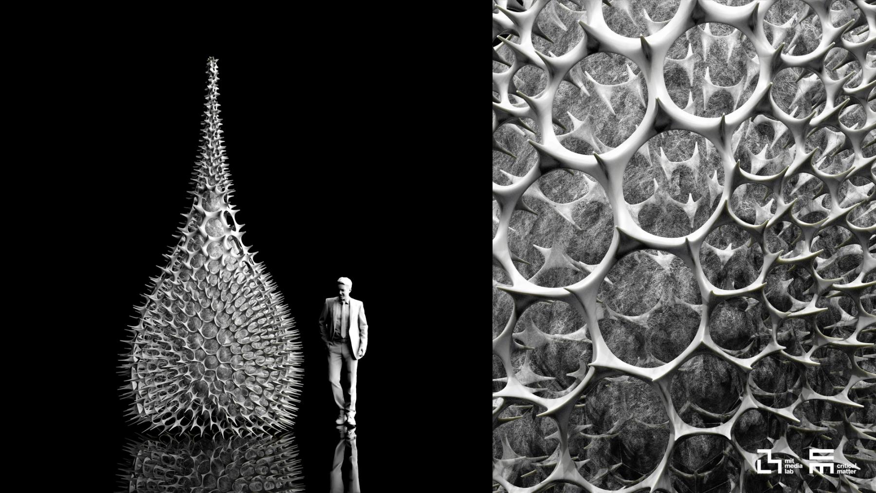 Rendering of a towering, teardrop-shaped structure inspired by microscopic marine forms, shown beside a person for scale, with a close-up of its intricate porous lattice.