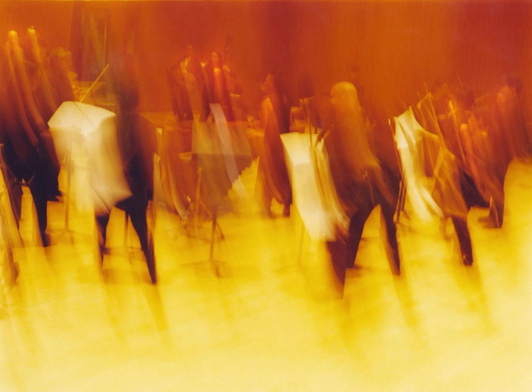 The orchestra — string players, a marimba and a bass drum — rehearsing. The ensemble becomes a metaphor for the forest.