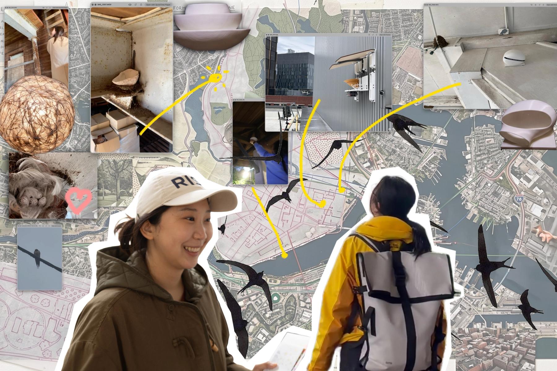 Collage documenting an urban bird habitat project, combining maps, nesting sites, prototype structures, flying birds, and researchers conducting fieldwork.