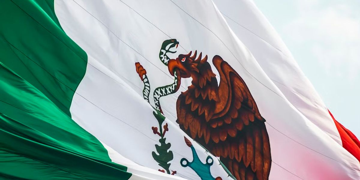Mexico’s Cartel Crisis Tests North American Security Architecture