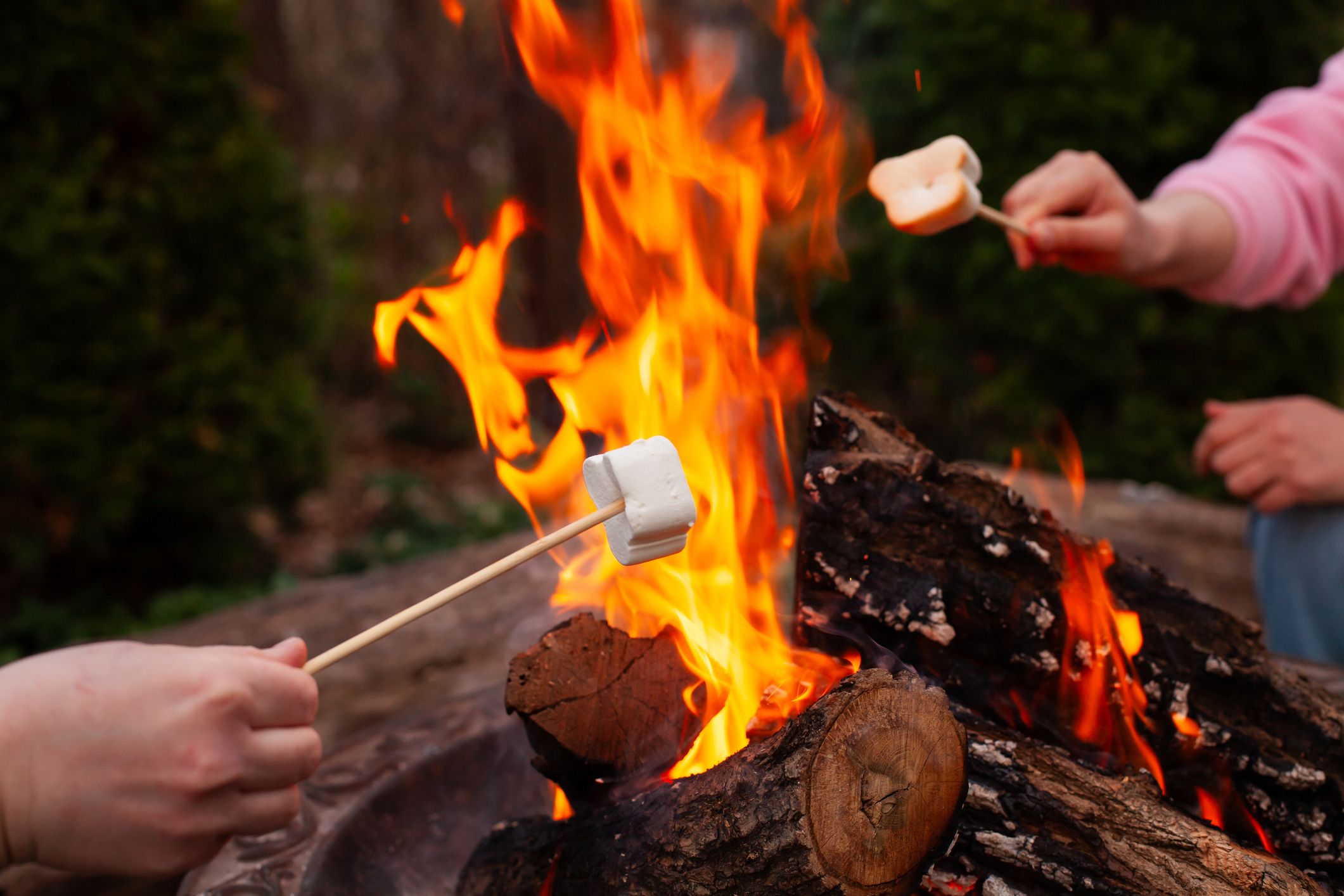 Barn rister marshmallows på pinne over et bål