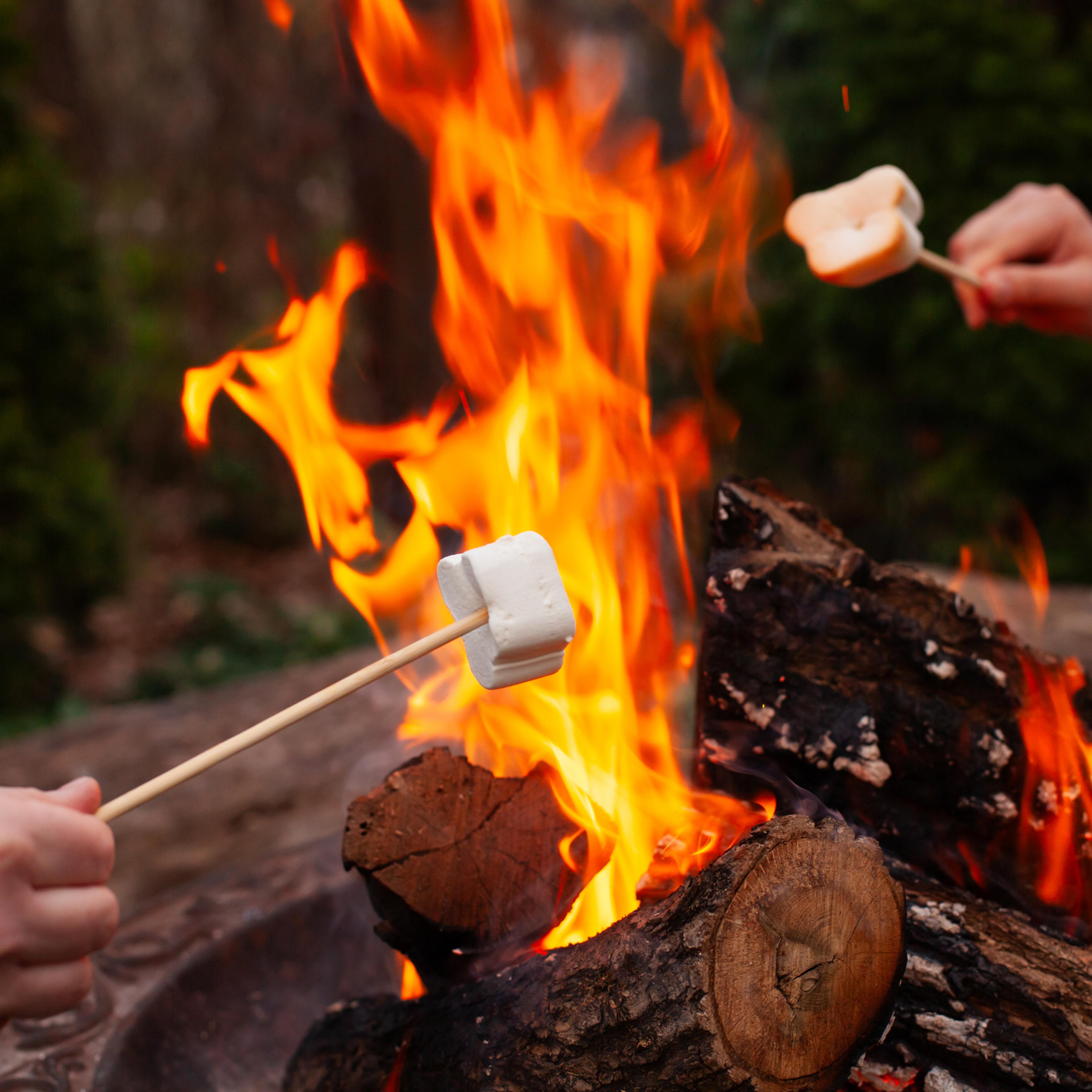 Barn rister marshmallows på pinne over et bål