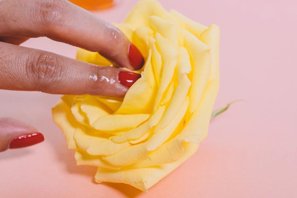 Fuktige fingre mot en gul rose