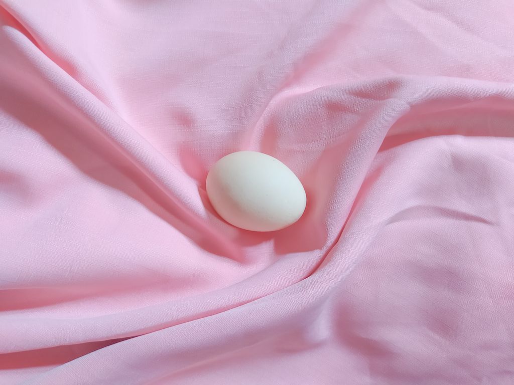 hormon amh egg