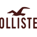 Hollister logo