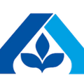 Albertsons logo
