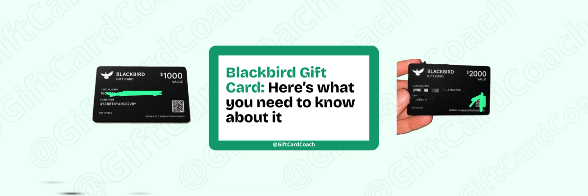 Blackbird Gift Card: Why You Cannot Redeem It, and What We Found After 100 People Asked Us