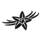 Vanilla logo