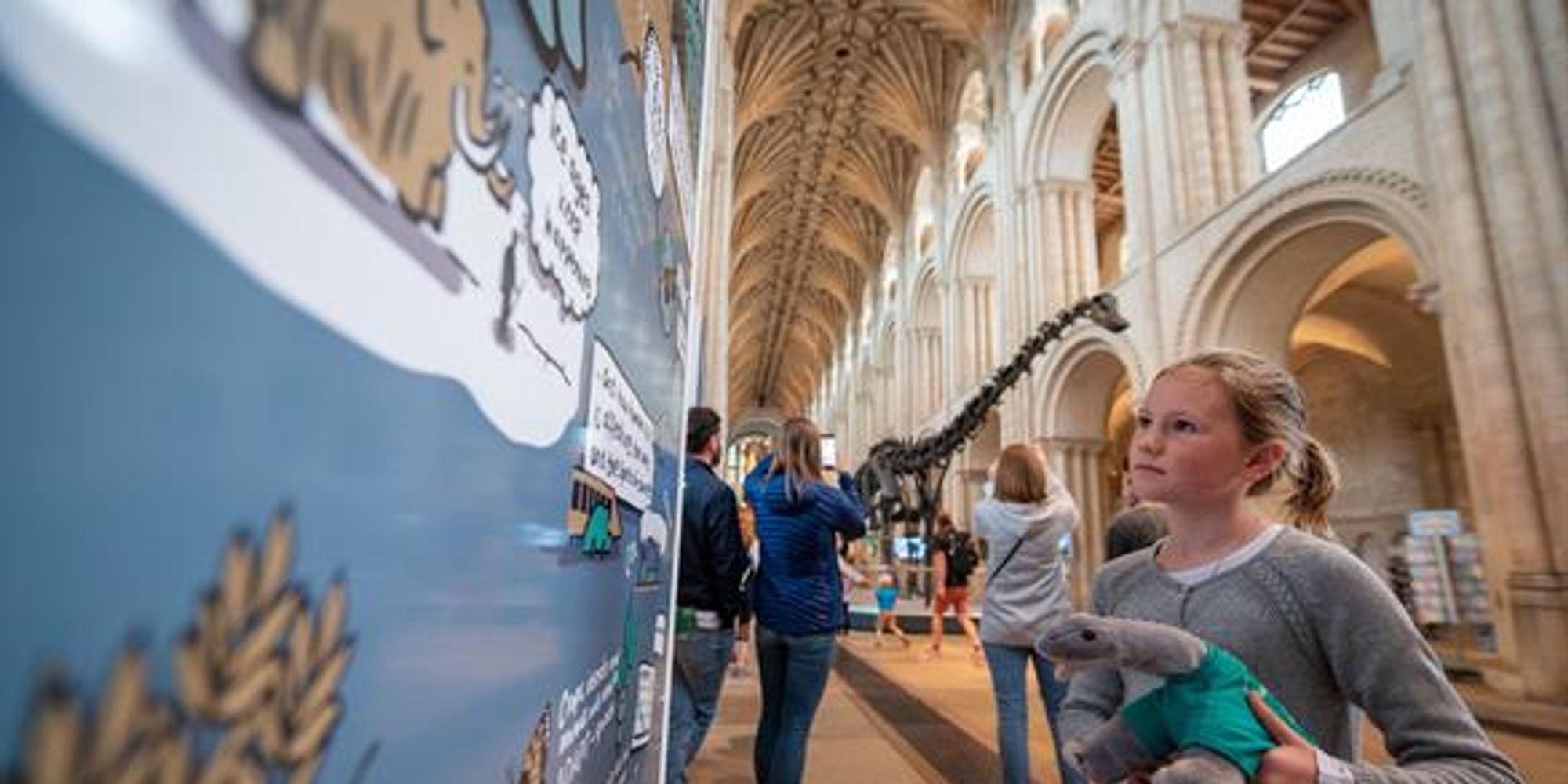 image-020963a0281b62628ac200a155bebf48272aba71-586x390-jpg