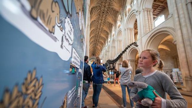 image-020963a0281b62628ac200a155bebf48272aba71-586x390-jpg