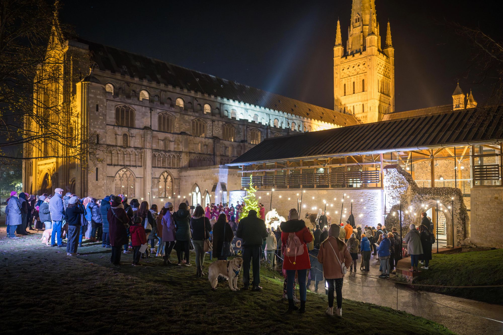 image-02f8ca83db037481135d74e3370c09d6b6f7425d-7740x5160-jpg