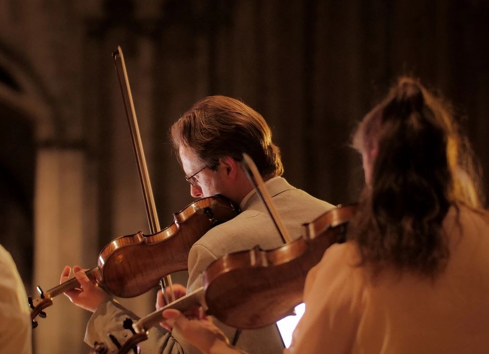 image-036f3519ad5701042fdf8d6bfed9d21d2516c65e-5184x3888-jpg