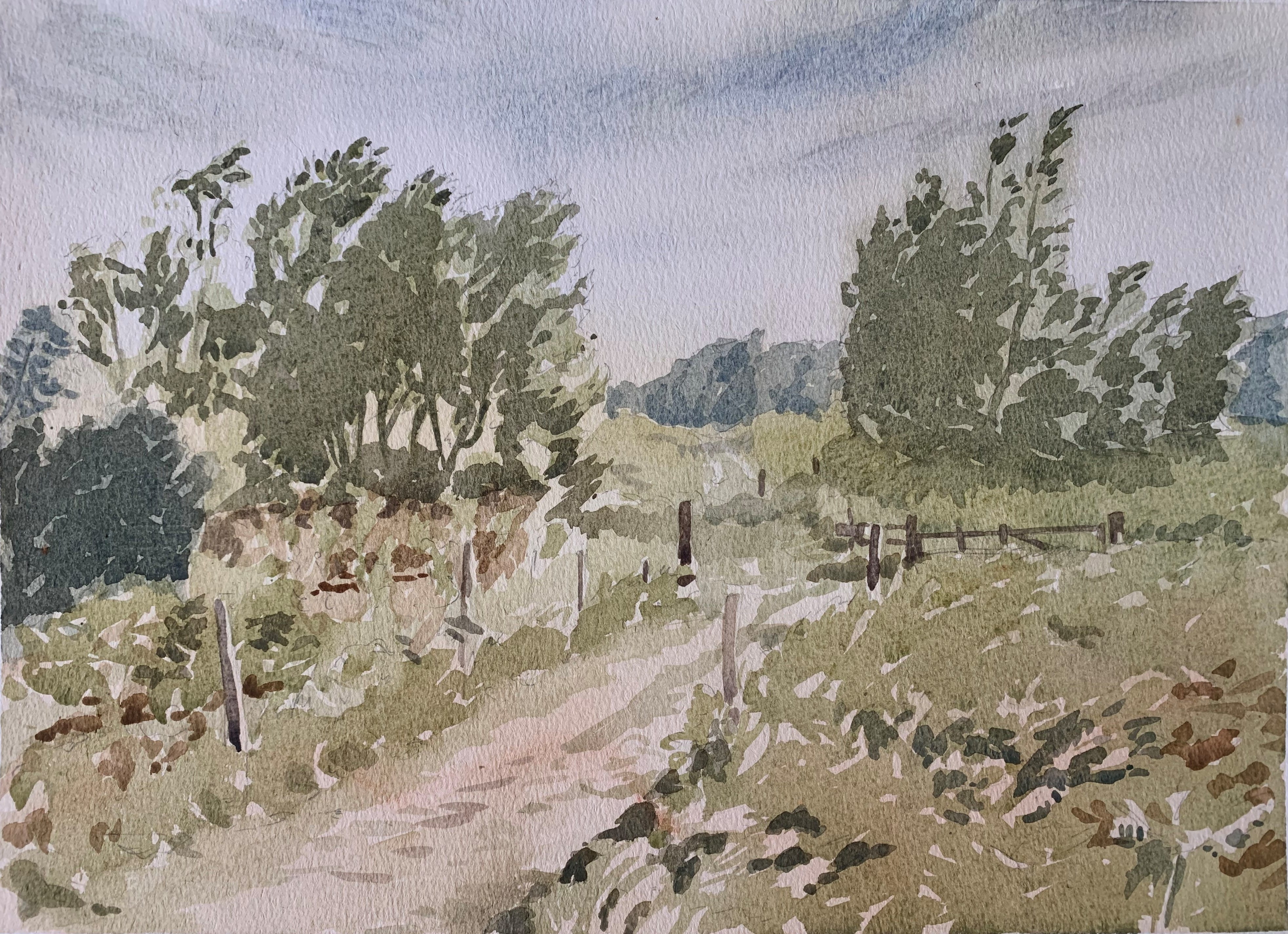 image-0dc86c87e80692c19842a937c32db76a5d53f1d5-3929x2849-jpg