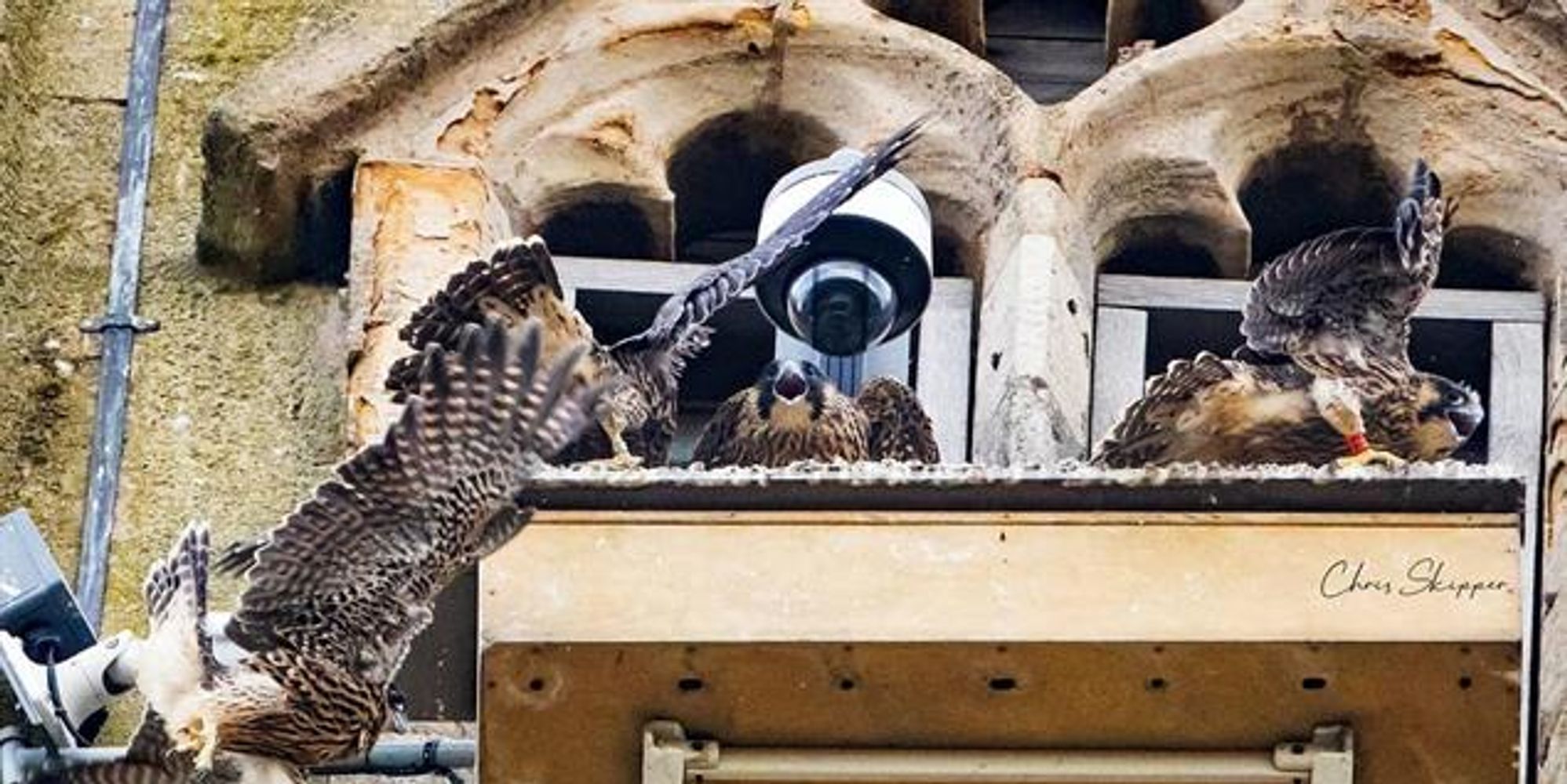 image-106933973721e3a265d1d2a1735b90113431ff88-635x390-jpg