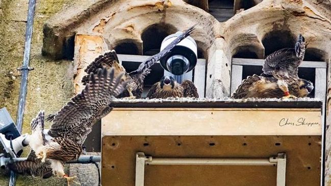 image-106933973721e3a265d1d2a1735b90113431ff88-635x390-jpg