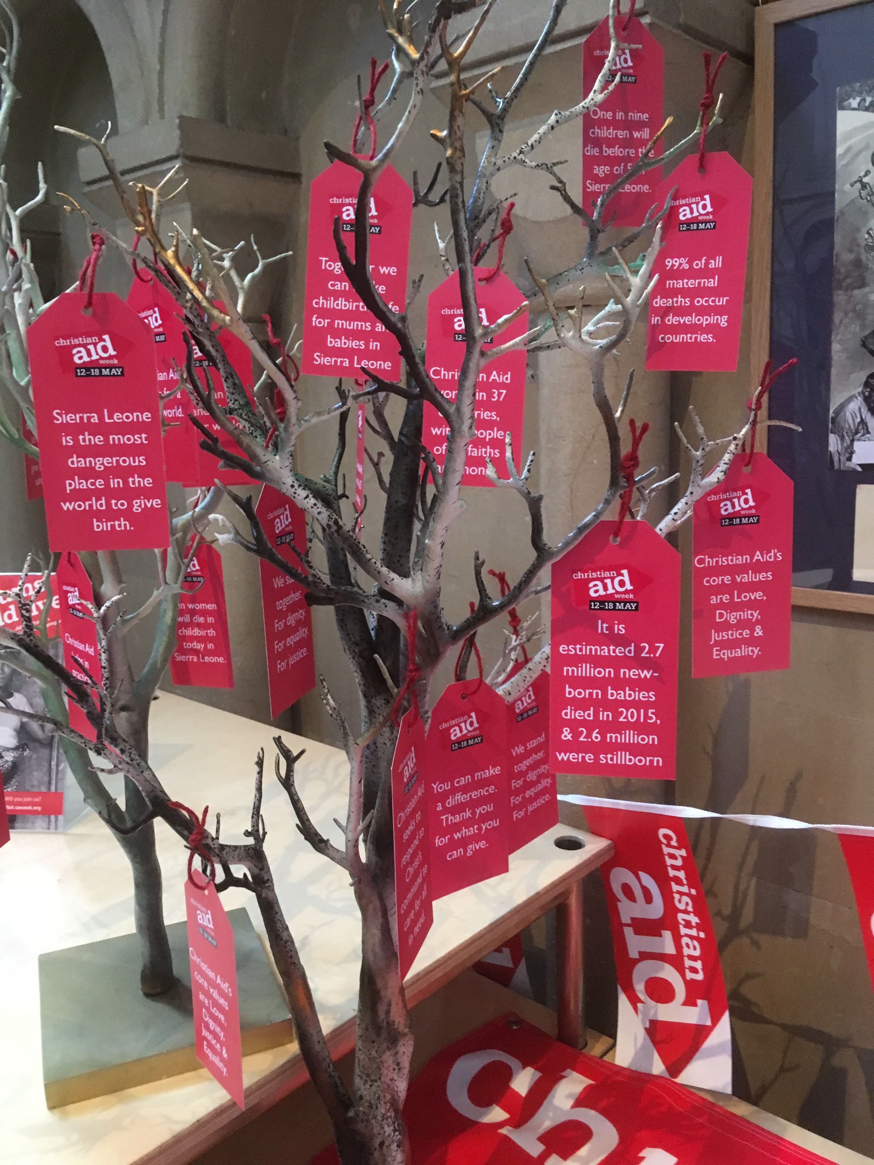 image-1d4e4de24aa291c5269dc859d7cd05e6fc6f1d1f-3024x4032-jpg