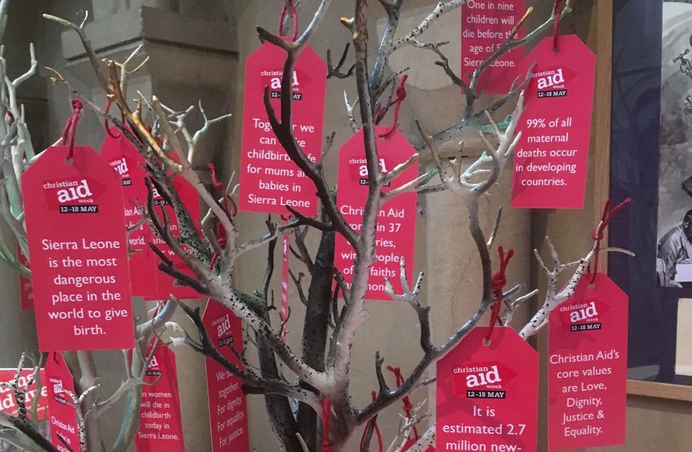 image-1d4e4de24aa291c5269dc859d7cd05e6fc6f1d1f-3024x4032-jpg