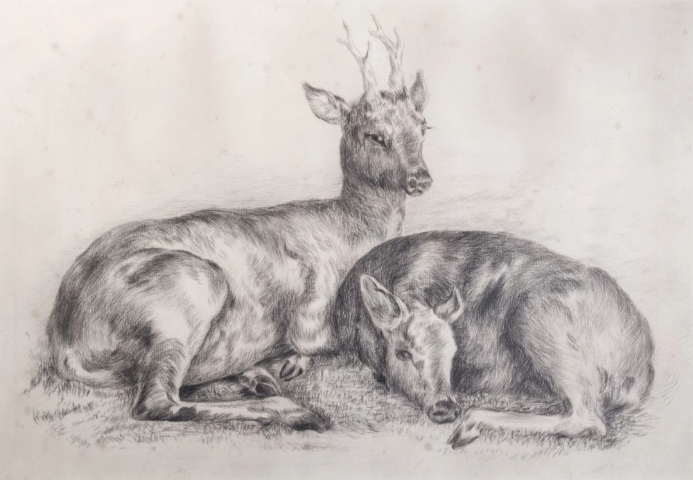 image-20438f2948e363afc1d865291066f12445ab4d2c-6815x4726-jpg