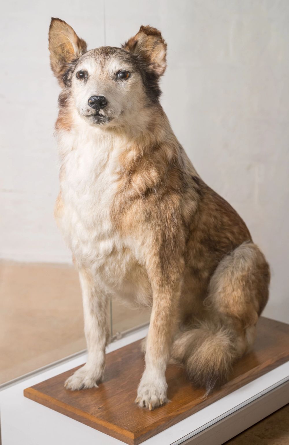 image-25dfb60866b816d257f33ddd5dee3b193ba18ad0-4780x7347-jpg