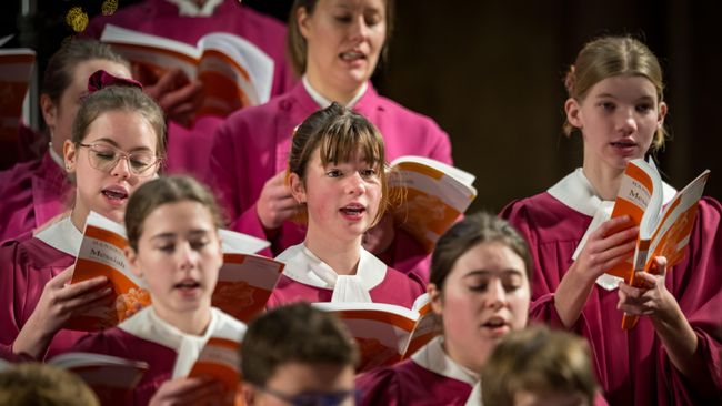 image-26109167f22155d35285aeb734beb9a11276d925-7527x5018-jpg