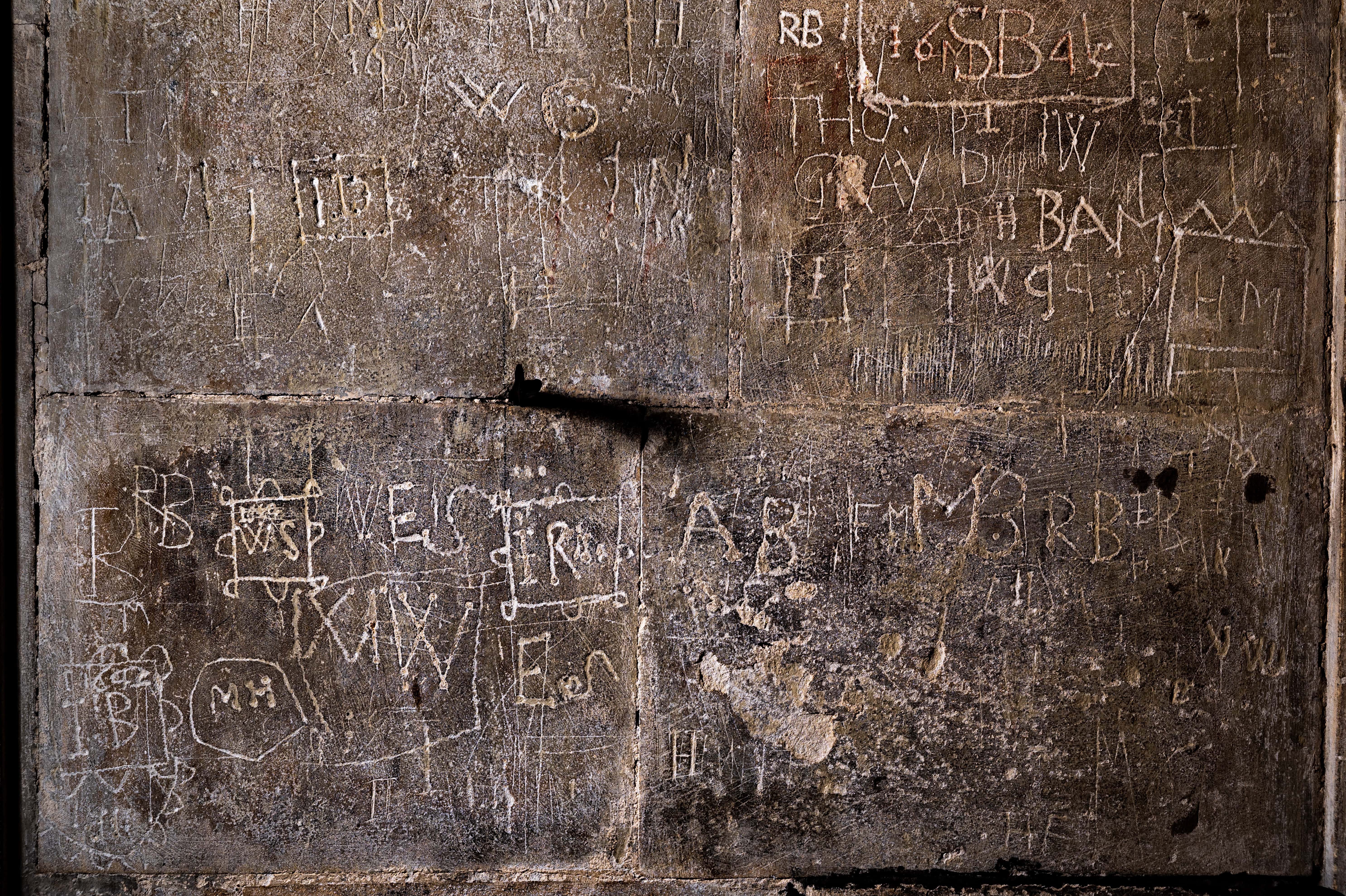 image-2a5371fa1dc9a134ae8ce4d096152ed725c3e128-5944x3955-jpg