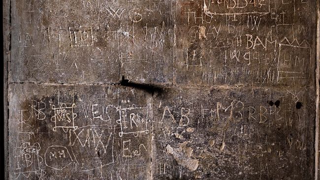 image-2a5371fa1dc9a134ae8ce4d096152ed725c3e128-5944x3955-jpg