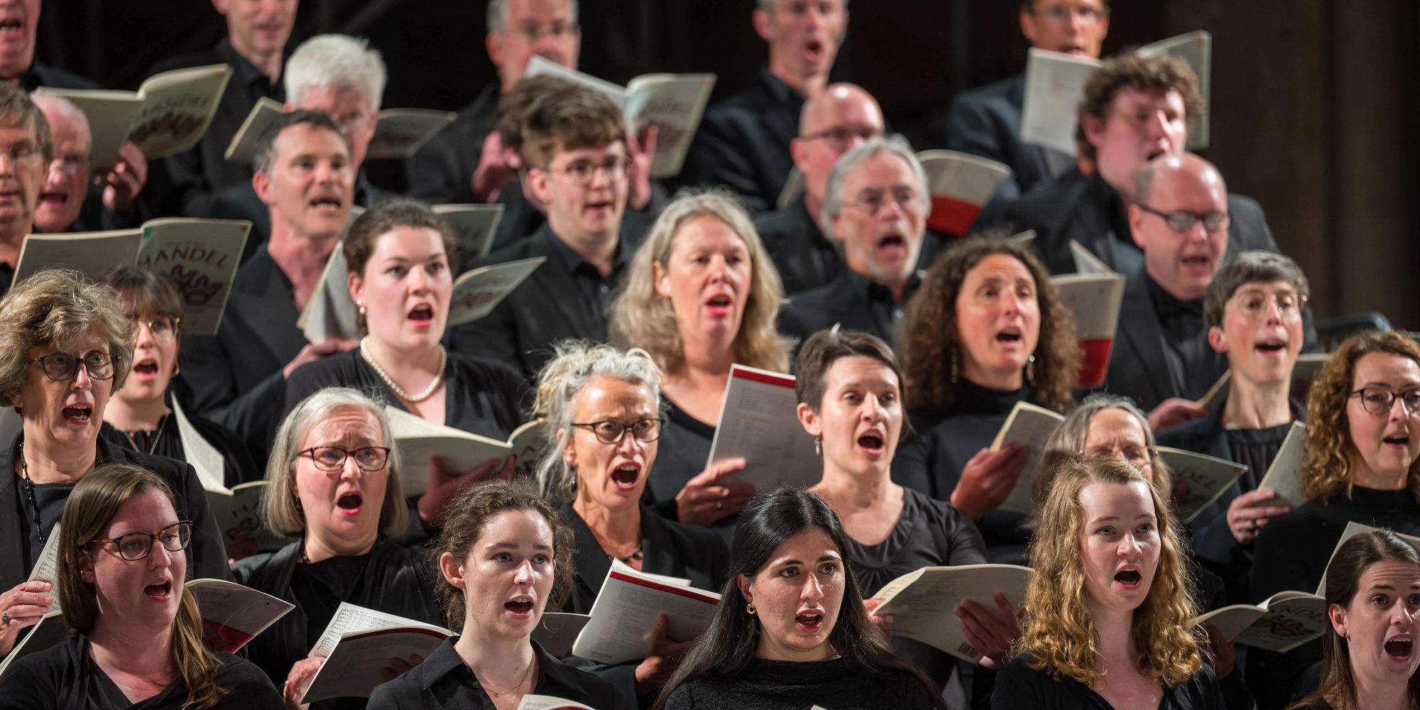 image-2dd14c90c7f150c64404676f047e5bd89d11164f-6048x4024-jpg