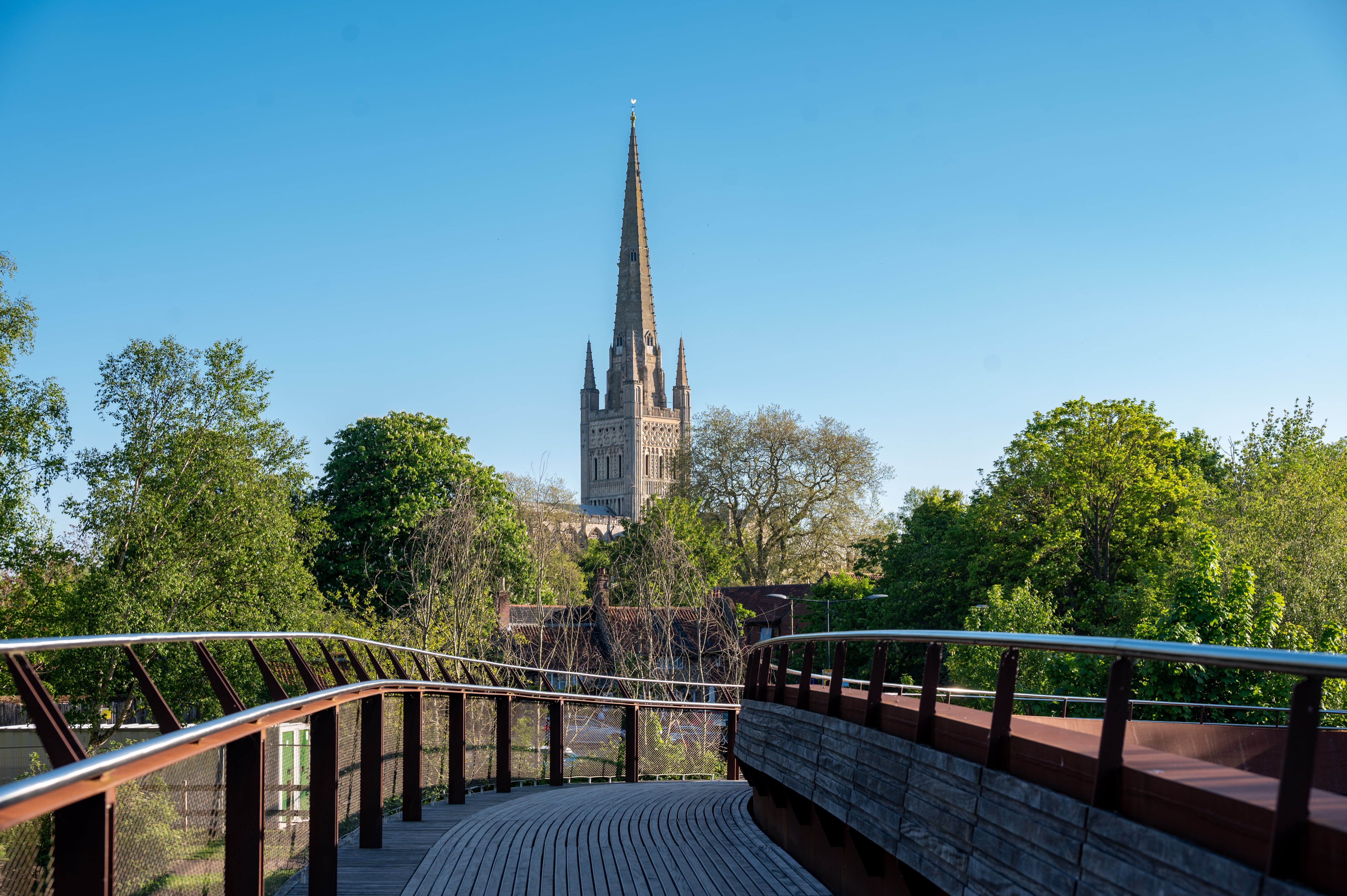 image-2edc3f3b4d1380f9795c653a963ca35bd0a228b7-6021x4006-jpg