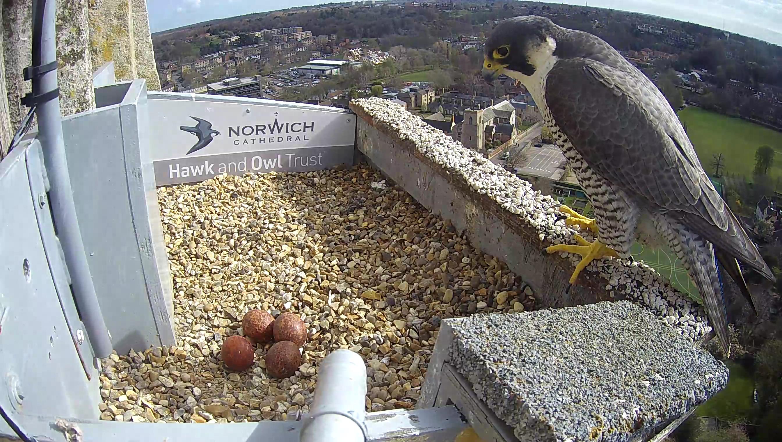 image-33e6d2b5aecba66ed4a92b649af55e254291e443-2688x1520-jpg