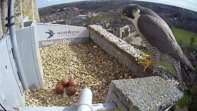 image-33e6d2b5aecba66ed4a92b649af55e254291e443-2688x1520-jpg