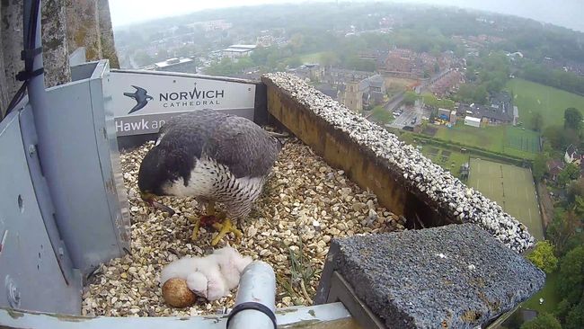 image-34df8d8cc6bb2cb22545e7e18c895b3a5e2ae118-2688x1520-jpg