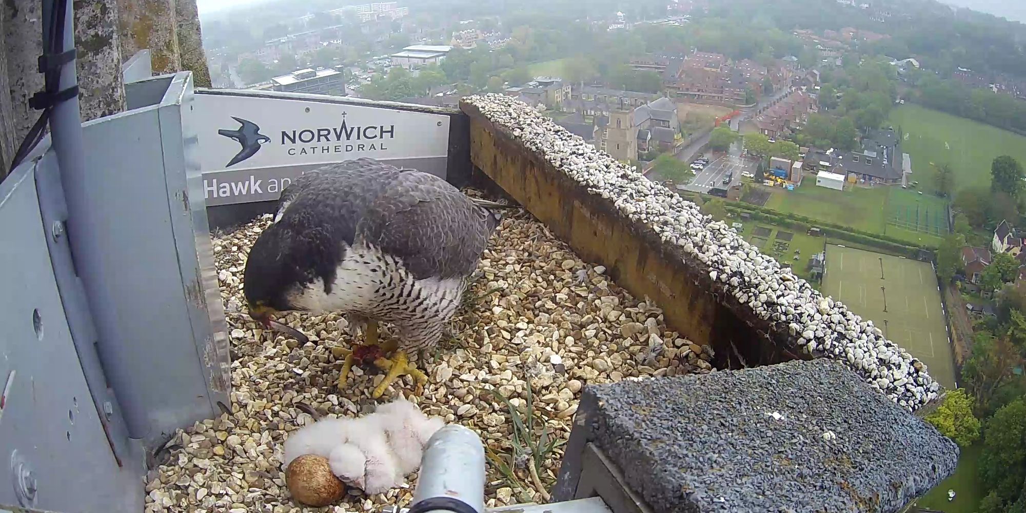 image-34df8d8cc6bb2cb22545e7e18c895b3a5e2ae118-2688x1520-jpg