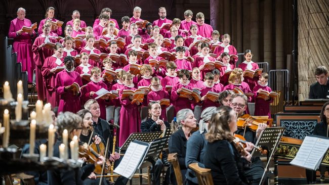 image-3c8dd37c1245dd04bf8c2a910d240814167eb221-7496x4997-jpg