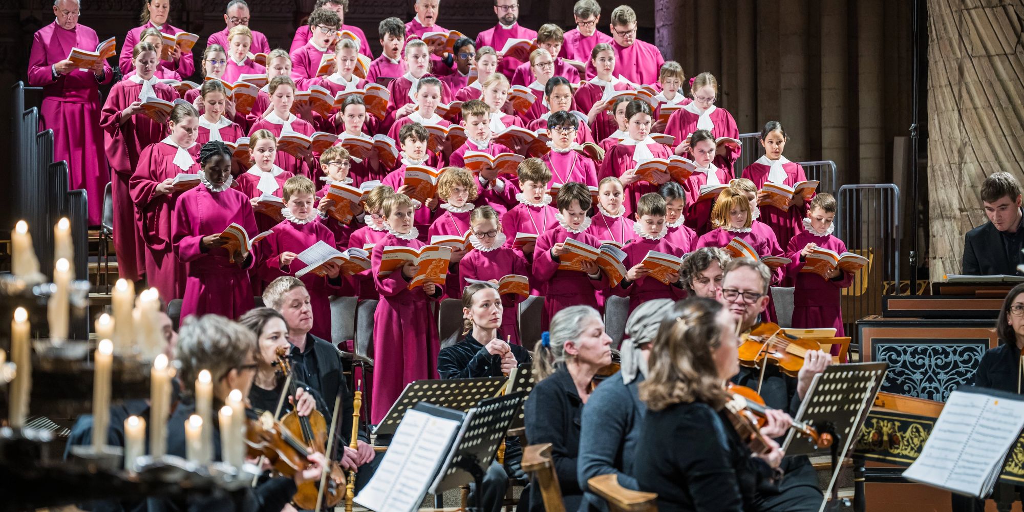 image-3c8dd37c1245dd04bf8c2a910d240814167eb221-7496x4997-jpg