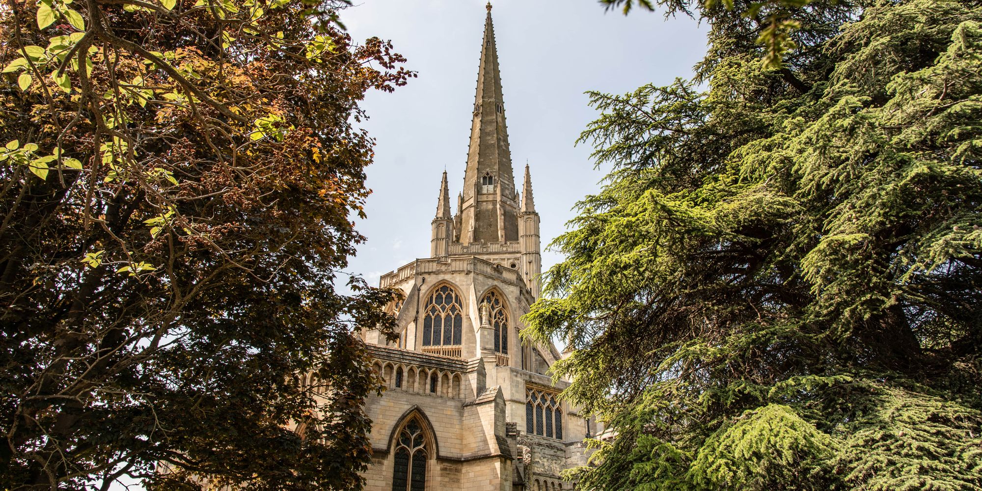 image-3d8f181d8c40bada38e37c1e52c016936f614fae-7839x5226-jpg