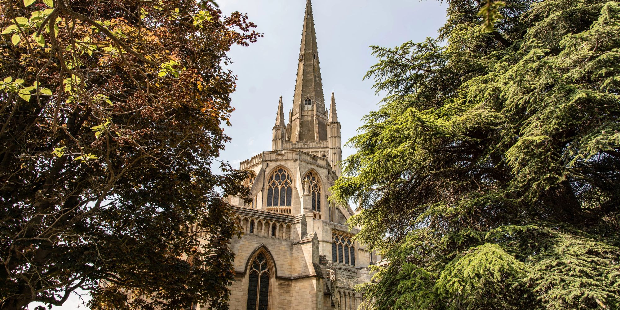 image-3d8f181d8c40bada38e37c1e52c016936f614fae-7839x5226-jpg